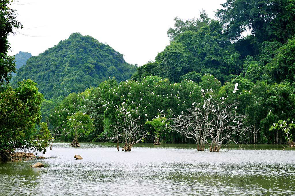 thung nham bird park vietnam